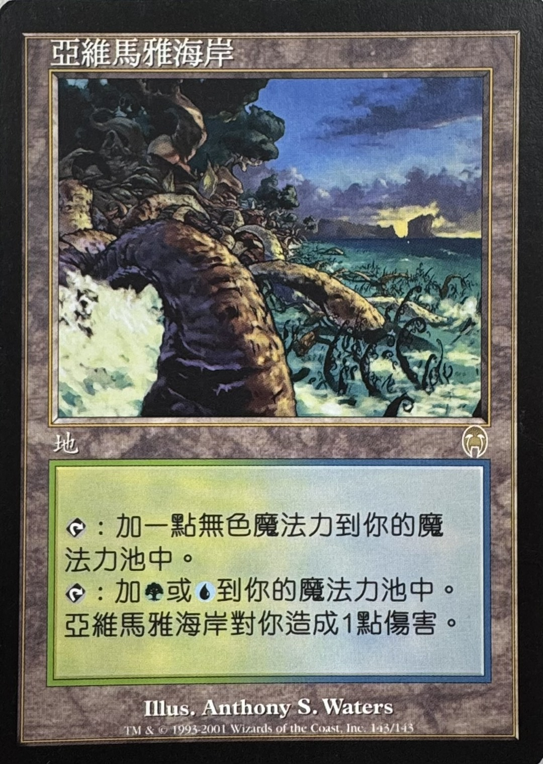 【CHT】《ヤヴィマヤの沿岸/Yavimaya Coast》[APC]