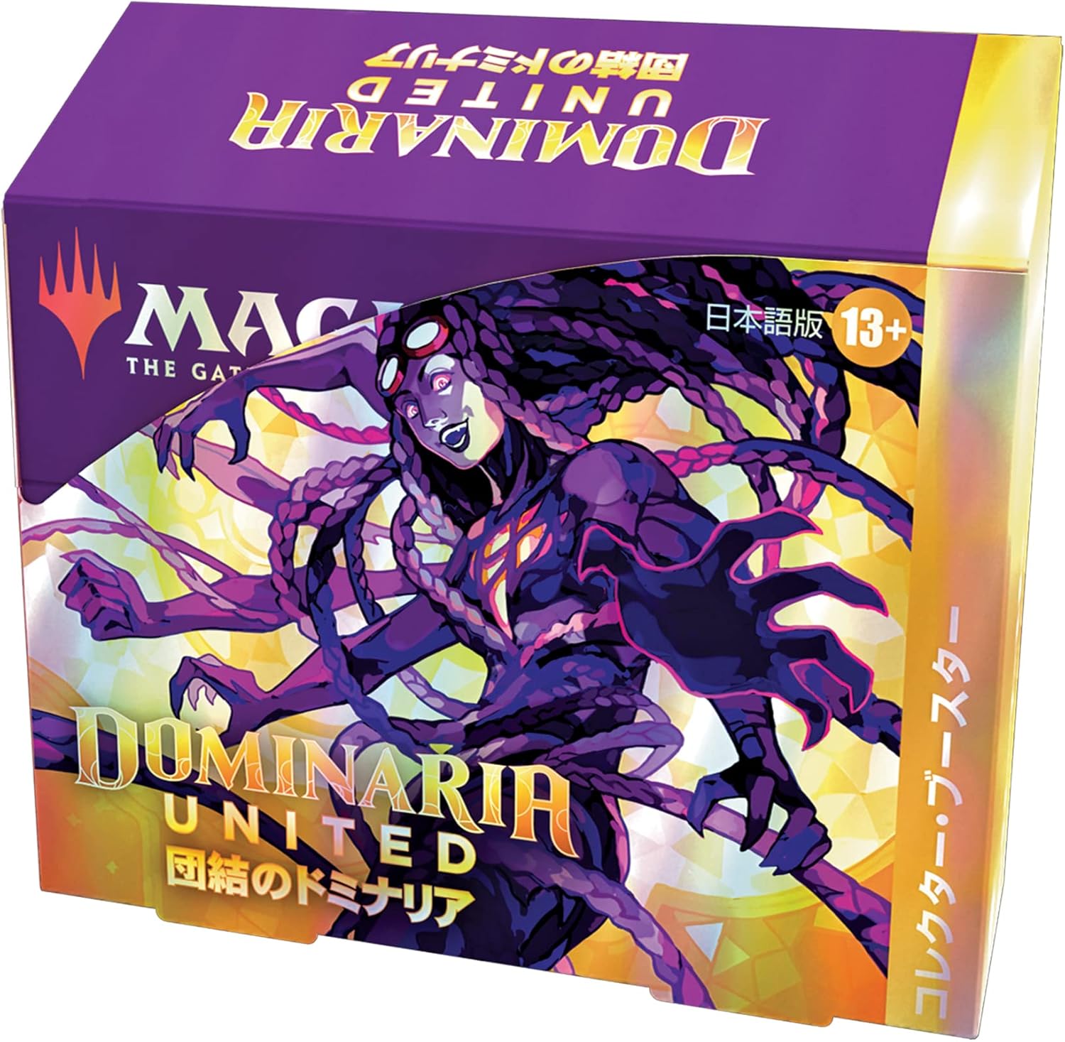 《団結のドミナリア コレクター・ブースターBOX》《○日本語版》