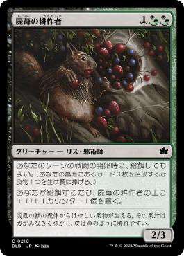 【JPN】【Foil】《屍苺の耕作者/Corpseberry Cultivator》[BLB]