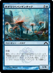 【JPN】【Foil】《すがりつくイソギンチャク/Clinging Anemones》[GTC]