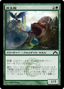 【JPN】【Foil】《両生鰐/Crocanura》[GTC]