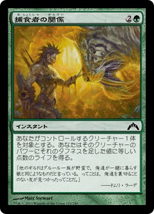 【JPN】【Foil】《捕食者の関係/Predator's Rapport》[GTC]