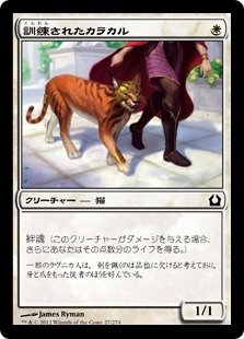 【JPN】【Foil】《訓練されたカラカル/Trained Caracal》[RTR]