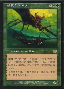 【JPN】《雄鹿クワガタ/Stag Beetle》[ONS]