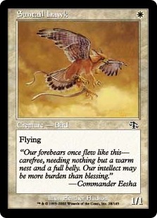 【ENG】【Foil】《陽光尾の鷹/Suntail Hawk》[JUD]