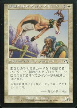 【JPN】【Foil】《訓練されたプロングホーン/Trained Pronghorn》[JUD]