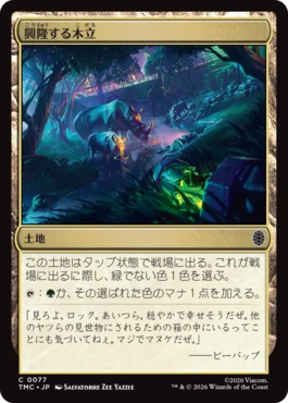 【JPN】【Foil】■サージ■《興隆する木立/Thriving Grove》[TMC]