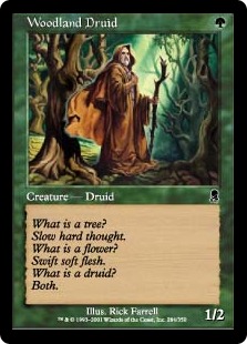 【ENG】【Foil】《森林地帯のドルイド/Woodland Druid》[ODY]
