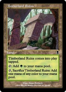 【ENG】【Foil】《森林地の廃墟/Timberland Ruins》[ODY]