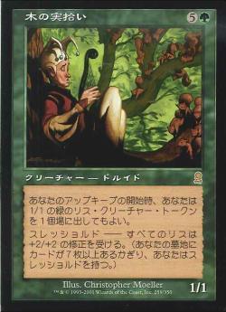 【JPN】《木の実拾い/Nut Collector》[ODY]