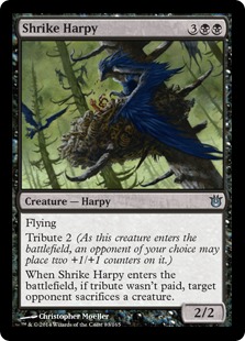 【ENG】《モズのハーピー/Shrike Harpy》[BNG]