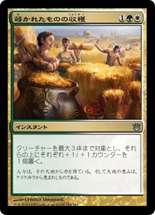 【JPN】《蒔かれたものの収穫/Reap What Is Sown》[BNG]