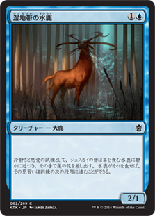 【JPN】《湿地帯の水鹿/Wetland Sambar》[KTK]
