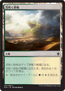 【JPN】《花咲く砂地/Blossoming Sands》[KTK]