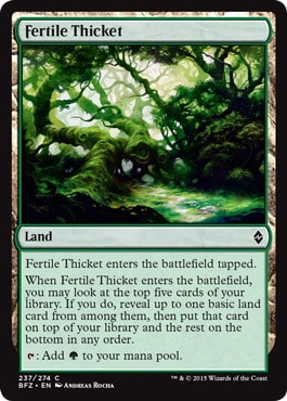 【ENG】【Foil】《肥沃な茂み/Fertile Thicket》[BFZ]