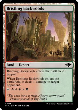 【ENG】【Foil】《逆棘の辺境林/Bristling Backwoods》[OTJ]