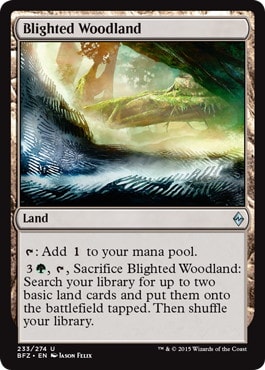 【ENG】《荒廃した森林/Blighted Woodland》[BFZ]
