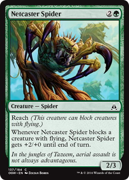 【ENG】【Foil】《網投げ蜘蛛/Netcaster Spider》[OGW]