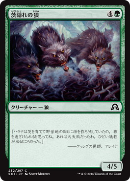 【JPN】【Foil】《茨隠れの狼/Thornhide Wolves》[SOI]