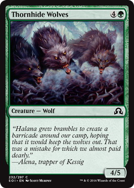 【ENG】【Foil】《茨隠れの狼/Thornhide Wolves》[SOI]