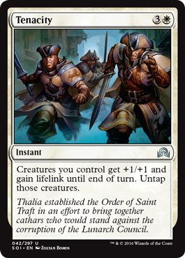 【ENG】《執念/Tenacity》[SOI]