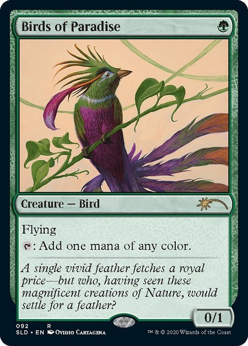 【ENG】《極楽鳥/Birds of Paradise》(092)[Secret Lair]