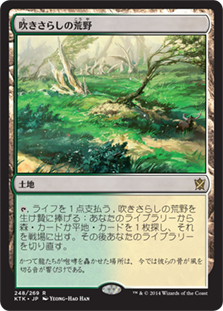 【JPN】【Foil】《吹きさらしの荒野/Windswept Heath》[KTK]