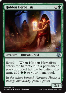 【ENG】《隠れた薬草医/Hidden Herbalists》[AER]