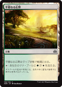 【JPN】【Foil】《平穏なる広野/Tranquil Expanse》[AER]