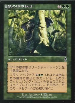 【JPN】《象の待ち伏せ/Elephant Ambush》[ODY]