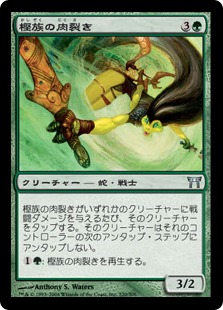 【JPN】【Foil】《樫族の肉裂き/Kashi-Tribe Reaver》[CHK]