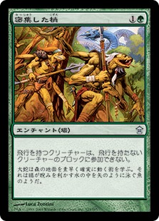 【JPN】【Foil】《密集した梢/Dense Canopy》[SOK]