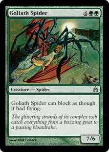 【ENG】【Foil】《巨体の蜘蛛/Goliath Spider》[RAV]