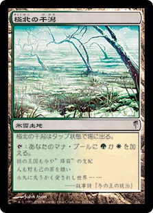 【JPN】【Foil】《極北の干潟/Arctic Flats》[CSP]