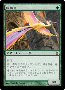 【JPN】《極楽鳥/Birds of Paradise》[RAV]