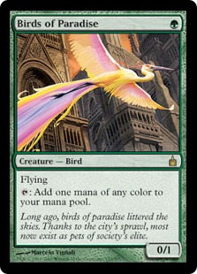 【ENG】《極楽鳥/Birds of Paradise》[RAV]