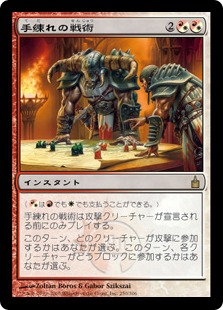 【JPN】《手練れの戦術/Master Warcraft》[RAV]