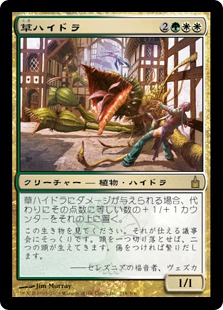 【JPN】《草ハイドラ/Phytohydra》[RAV]