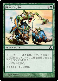 【JPN】【Foil】《野生の寸法/Wildsize》[GPT]