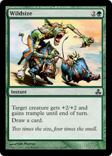 【ENG】【Foil】《野生の寸法/Wildsize》[GPT]