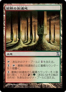 【JPN】【Foil】《菌類の到達地/Fungal Reaches》[TSP]