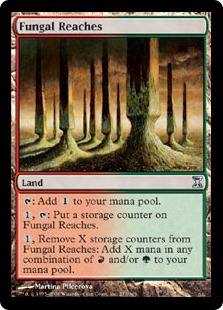 【ENG】【Foil】《菌類の到達地/Fungal Reaches》[TSP]