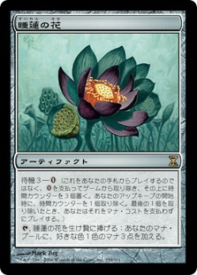 【JPN】《睡蓮の花/Lotus Bloom》[TSP]