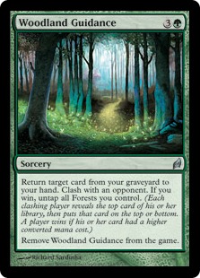 【ENG】【Foil】《森林の案内/Woodland Guidance》[LRW]