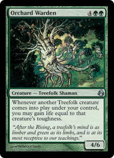 【ENG】【Foil】《果樹園の管理人/Orchard Warden》[MOR]