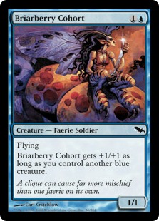 【ENG】《茨苺の群勢/Briarberry Cohort》[SHM]