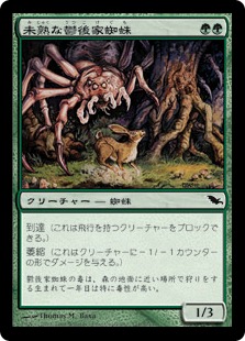 【JPN】《未熟な鬱後家蜘蛛/Juvenile Gloomwidow》[SHM]