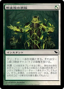 【JPN】《樹皮殻の祝福/Barkshell Blessing》[SHM]