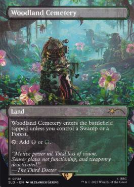 【ENG】【Foil】《森林の墓地/Woodland Cemetery》(738)[Secret Lair]