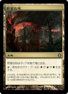 【JPN】【Foil】《野蛮な地/Savage Lands》[ALA]